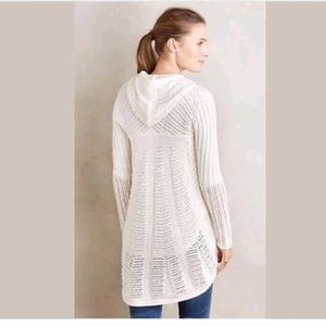 Cozy Moth Sweater🦋